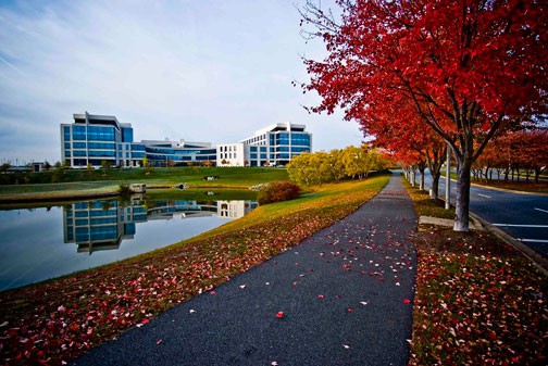 AstraZeneca Campus as seen from a tree lined road in a fall day